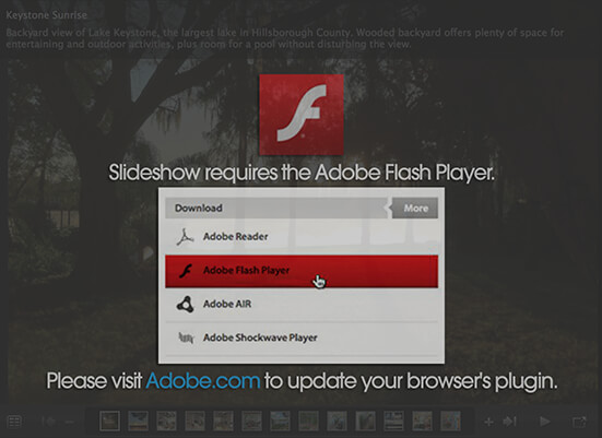 Get Adobe Flash Player